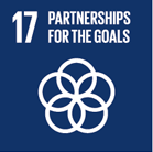 SDG Goal 17